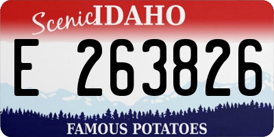 ID license plate E263826