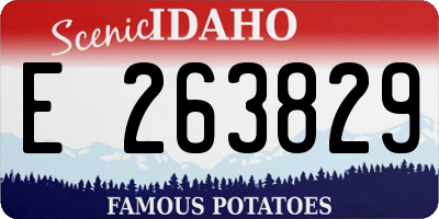 ID license plate E263829