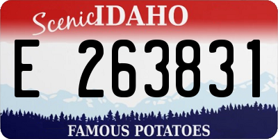 ID license plate E263831