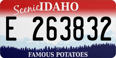 ID license plate E263832