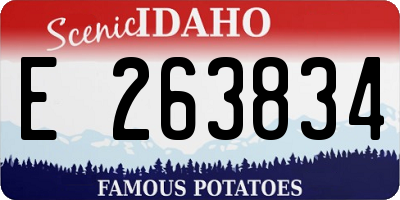 ID license plate E263834