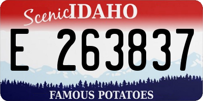 ID license plate E263837