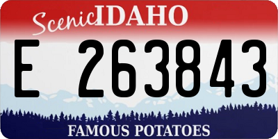 ID license plate E263843
