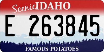 ID license plate E263845