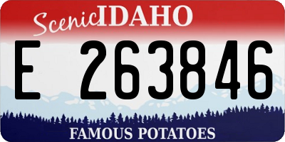 ID license plate E263846