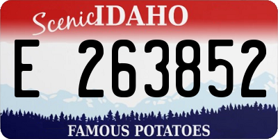 ID license plate E263852