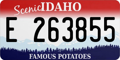 ID license plate E263855