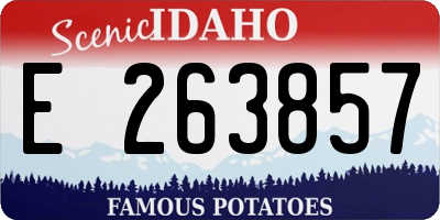 ID license plate E263857