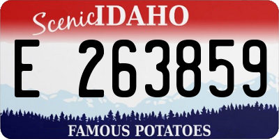 ID license plate E263859