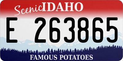 ID license plate E263865