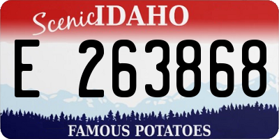 ID license plate E263868