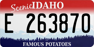 ID license plate E263870