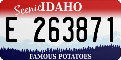 ID license plate E263871