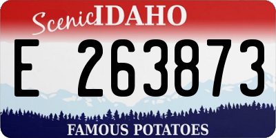 ID license plate E263873
