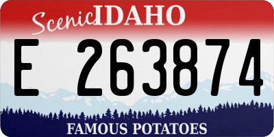 ID license plate E263874