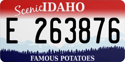 ID license plate E263876