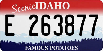 ID license plate E263877