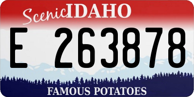 ID license plate E263878