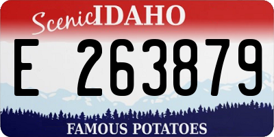 ID license plate E263879