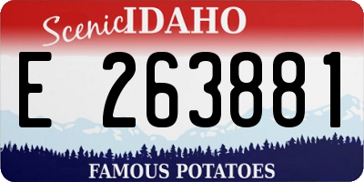 ID license plate E263881
