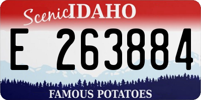 ID license plate E263884