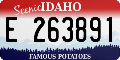 ID license plate E263891