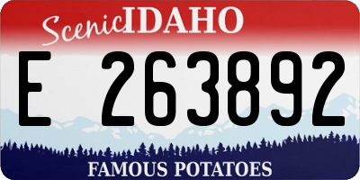 ID license plate E263892
