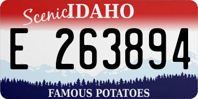 ID license plate E263894