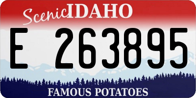 ID license plate E263895