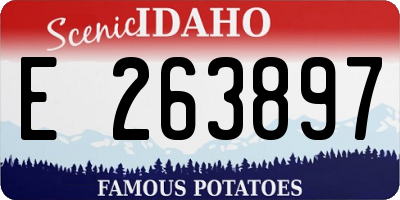 ID license plate E263897