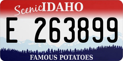 ID license plate E263899