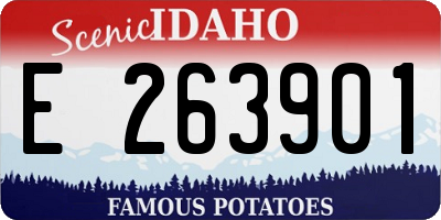 ID license plate E263901