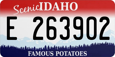 ID license plate E263902