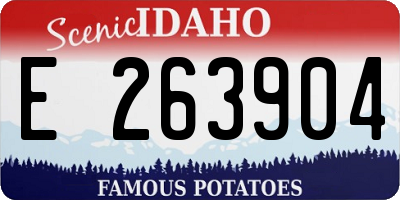 ID license plate E263904