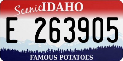 ID license plate E263905