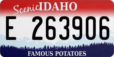 ID license plate E263906