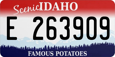 ID license plate E263909