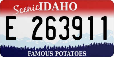 ID license plate E263911