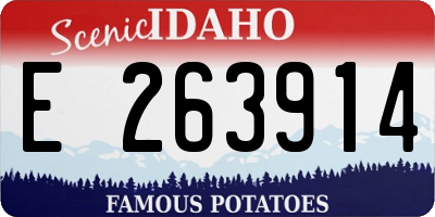 ID license plate E263914