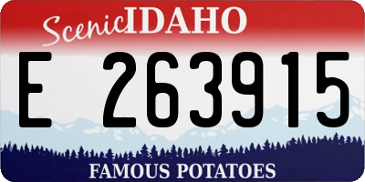 ID license plate E263915