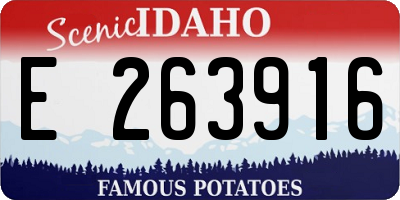 ID license plate E263916