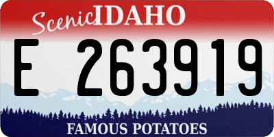 ID license plate E263919