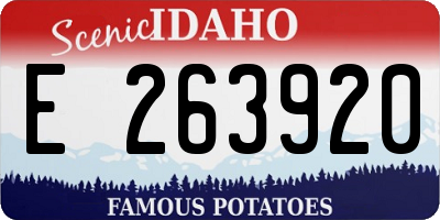 ID license plate E263920