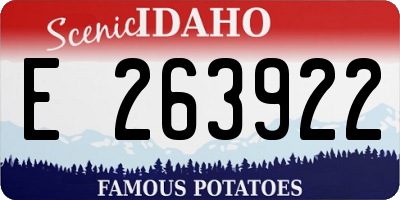 ID license plate E263922