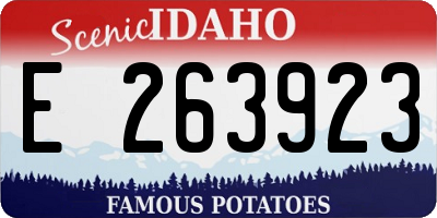 ID license plate E263923