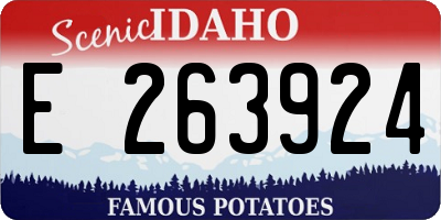 ID license plate E263924