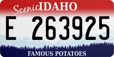 ID license plate E263925