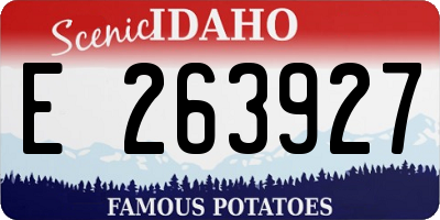 ID license plate E263927