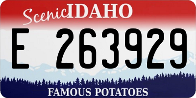 ID license plate E263929