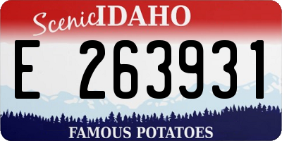 ID license plate E263931